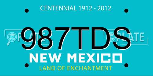 987TDS New Mexico License Plate