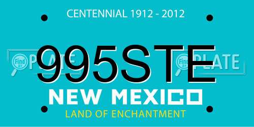995STE New Mexico License Plate