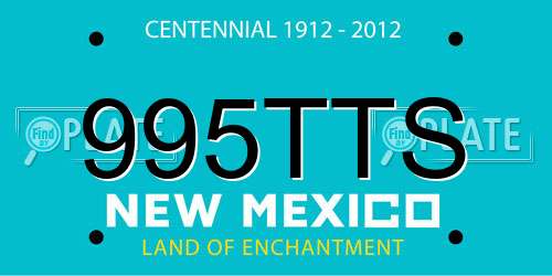 995TTS New Mexico License Plate