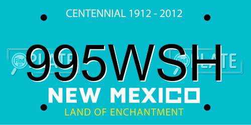 995WSH New Mexico License Plate