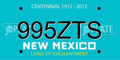 995ZTS New Mexico License Plate