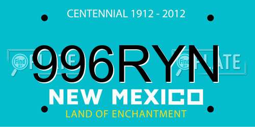 996RYN New Mexico License Plate