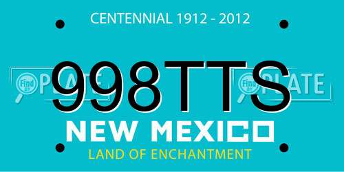 998TTS New Mexico License Plate