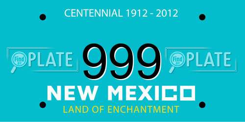 999 New Mexico License Plate