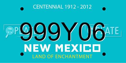 999Y06 New Mexico License Plate