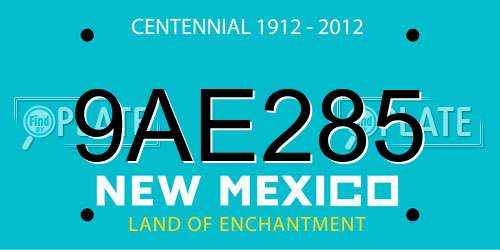 9AE285 New Mexico License Plate