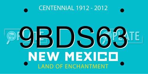 9BDS63 New Mexico License Plate