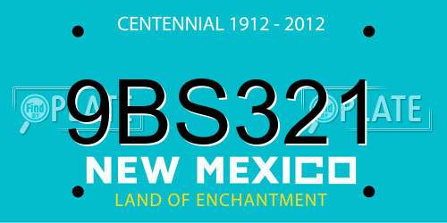 9BS321 New Mexico License Plate
