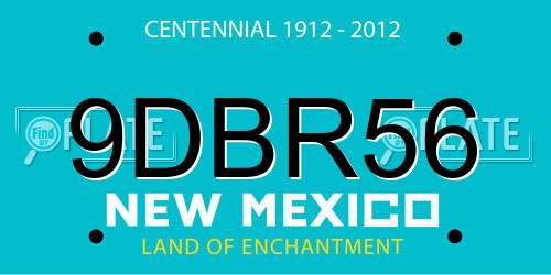 9DBR56 New Mexico License Plate