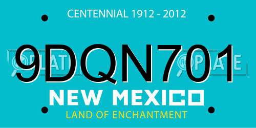 9DQN701 New Mexico License Plate