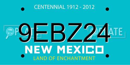 9EBZ24 New Mexico License Plate