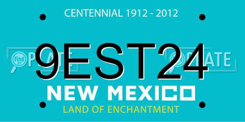 9EST24 New Mexico License Plate