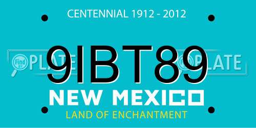 9IBT89 New Mexico License Plate