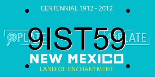 9IST59 New Mexico License Plate