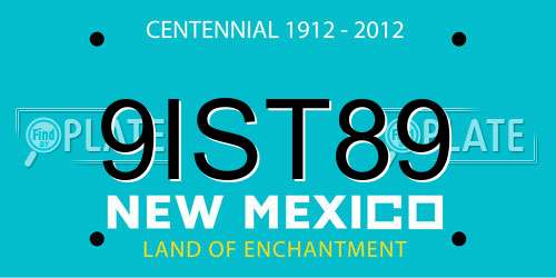 9IST89 New Mexico License Plate