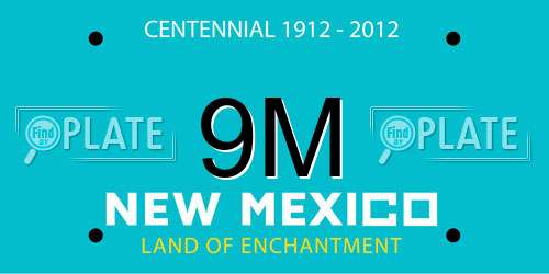 9M New Mexico License Plate
