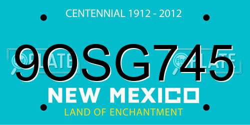 9OSG745 New Mexico License Plate