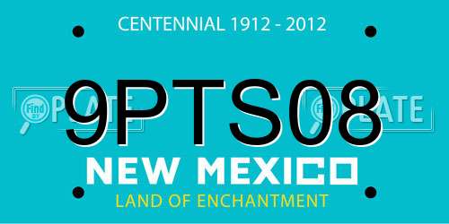 9PTS08 New Mexico License Plate