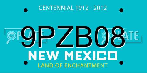 9PZB08 New Mexico License Plate