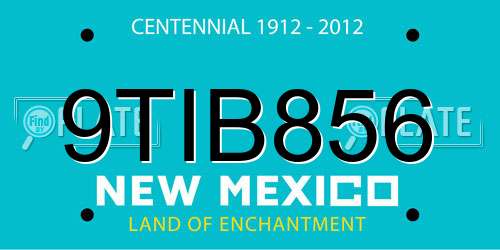 9TIB856 New Mexico License Plate