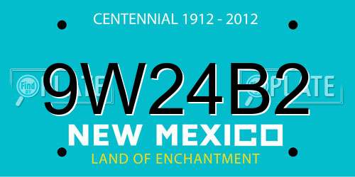 9W24B2 New Mexico License Plate