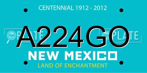 A224GO New Mexico License Plate