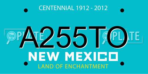 A255TO New Mexico License Plate