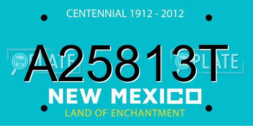 A25813T New Mexico License Plate