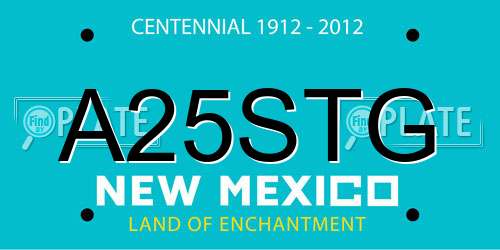A25STG New Mexico License Plate