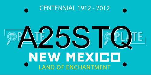 A25STQ New Mexico License Plate