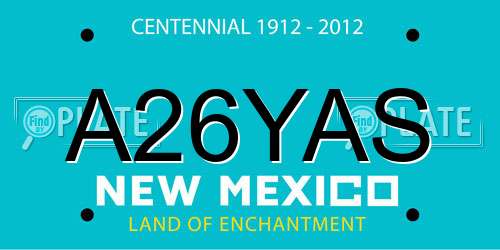 A26YAS New Mexico License Plate