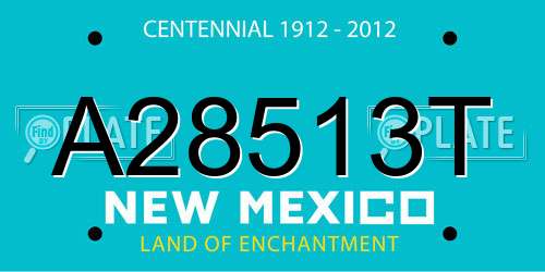 A28513T New Mexico License Plate