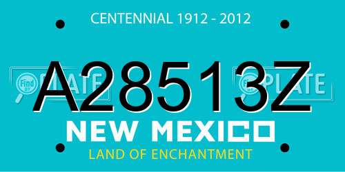 A28513Z New Mexico License Plate