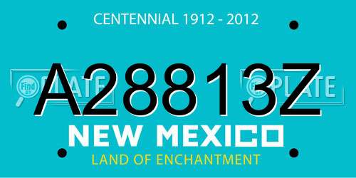 A28813Z New Mexico License Plate