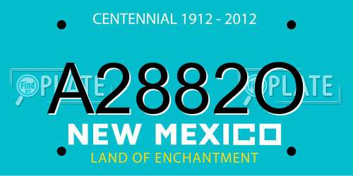 A2882O New Mexico License Plate