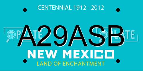 A29ASB New Mexico License Plate