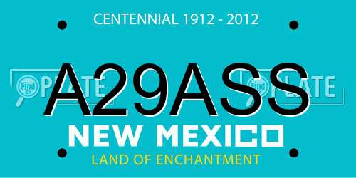 A29ASS New Mexico License Plate
