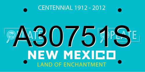 A30751S New Mexico License Plate
