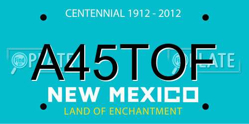 A45TOF New Mexico License Plate