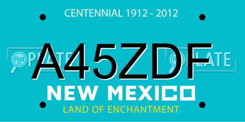 A45ZDF New Mexico License Plate