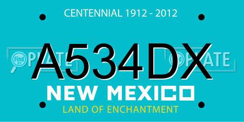 A534DX New Mexico License Plate