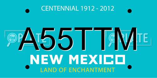 A55TTM New Mexico License Plate