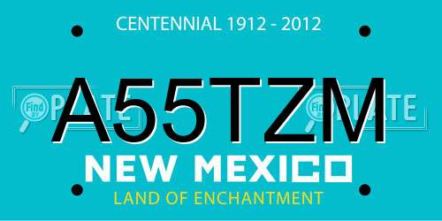 A55TZM New Mexico License Plate