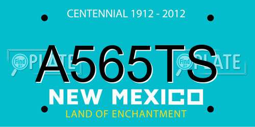 A565TS New Mexico License Plate