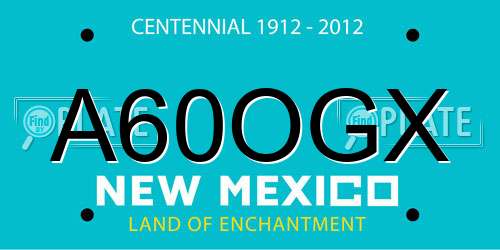 A60OGX New Mexico License Plate