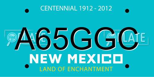 A65GGC New Mexico License Plate