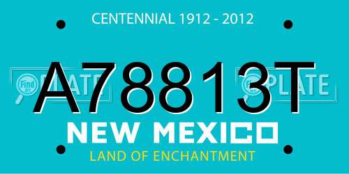 A78813T New Mexico License Plate