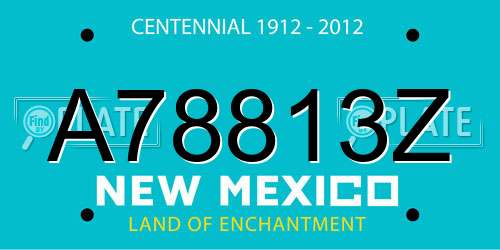 A78813Z New Mexico License Plate