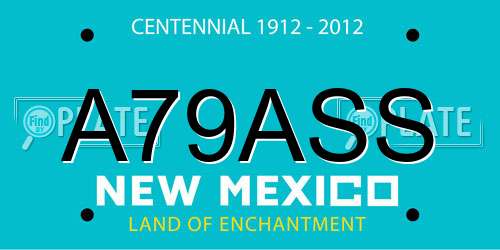A79ASS New Mexico License Plate