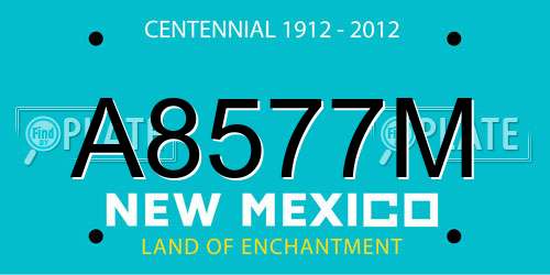 A8577M New Mexico License Plate